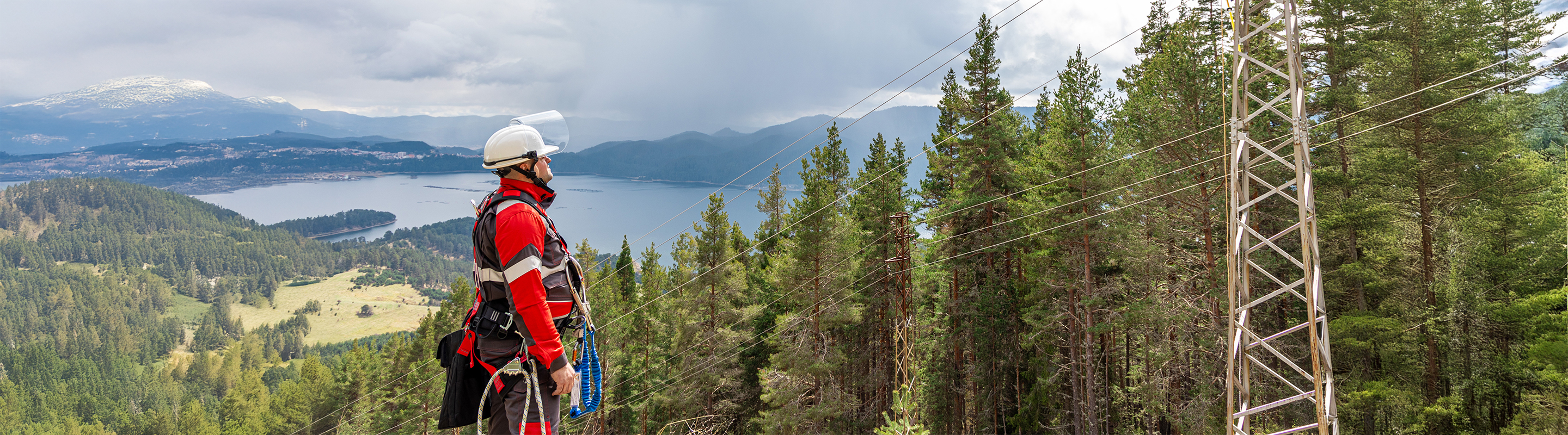 Електроразпределение Юг